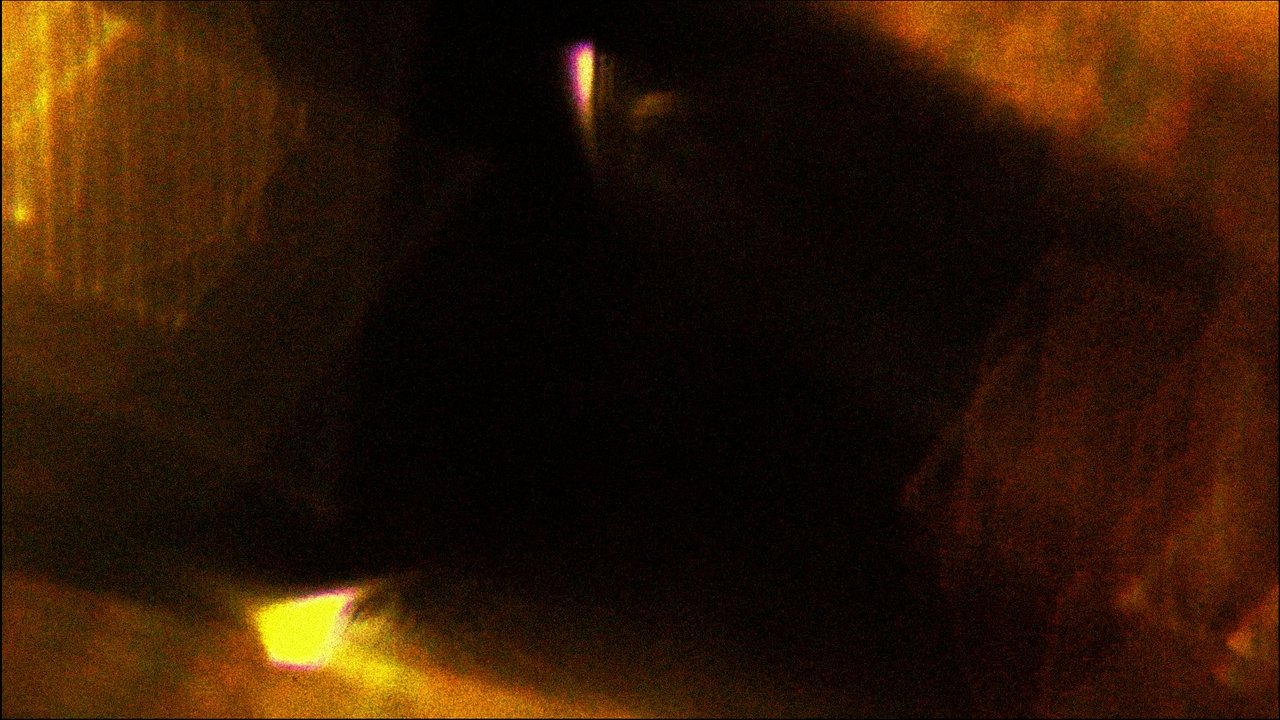 Sun King Movie Screenshot 3