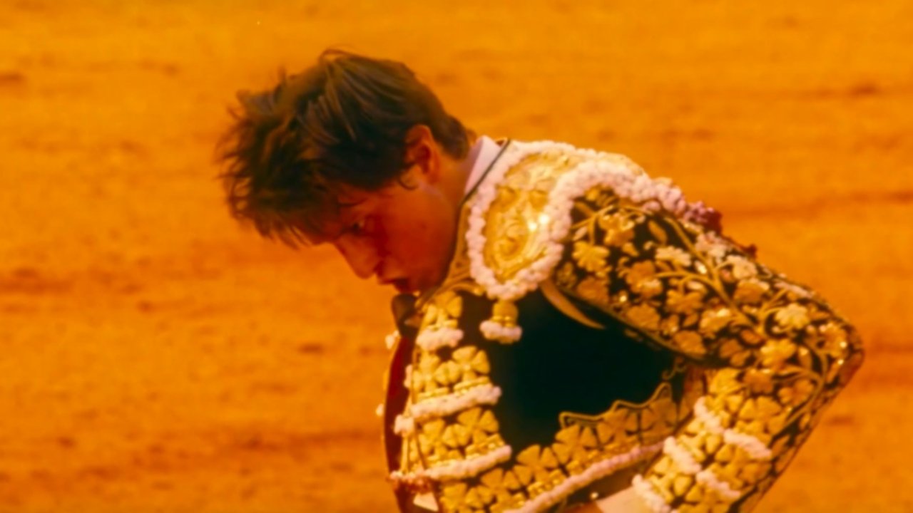 Afternoons of Solitude Movie Screenshot 3
