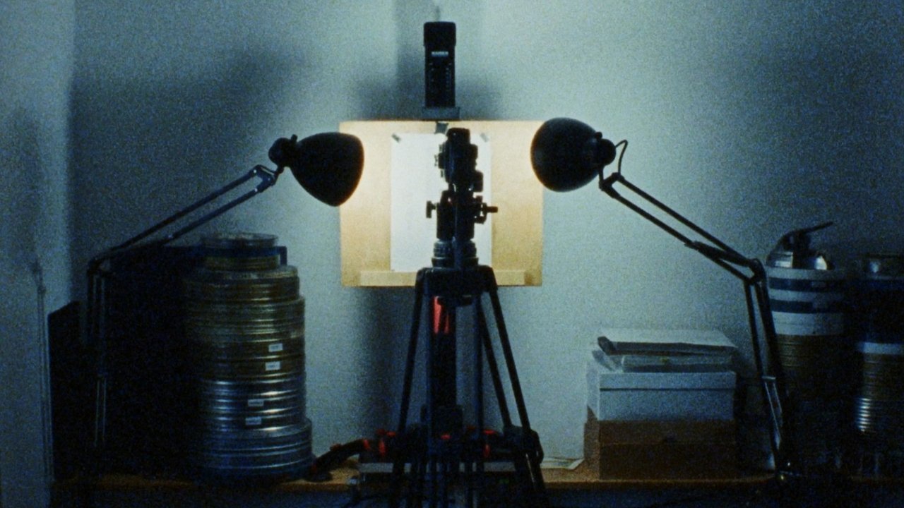 Traces of Movement Before the Ice Movie Screenshot 1