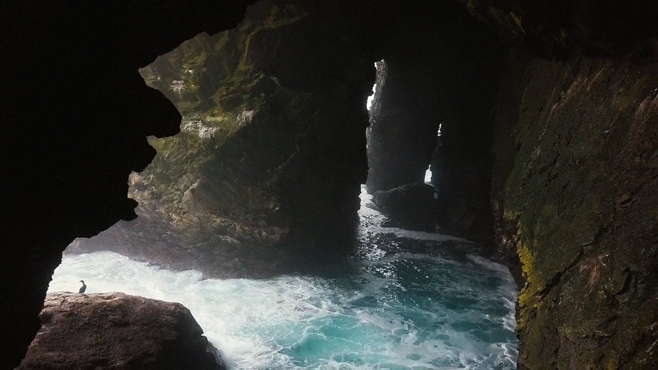 My Mercury Movie Screenshot 3