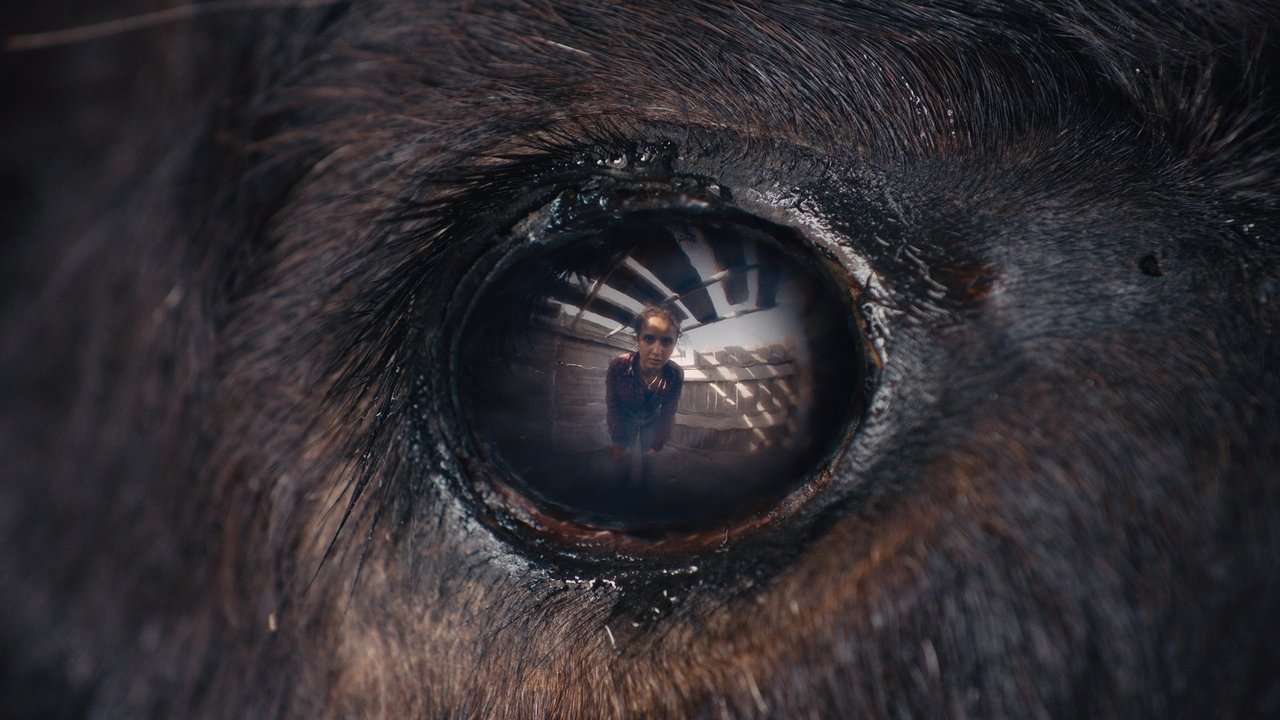 Animale Movie Screenshot 5
