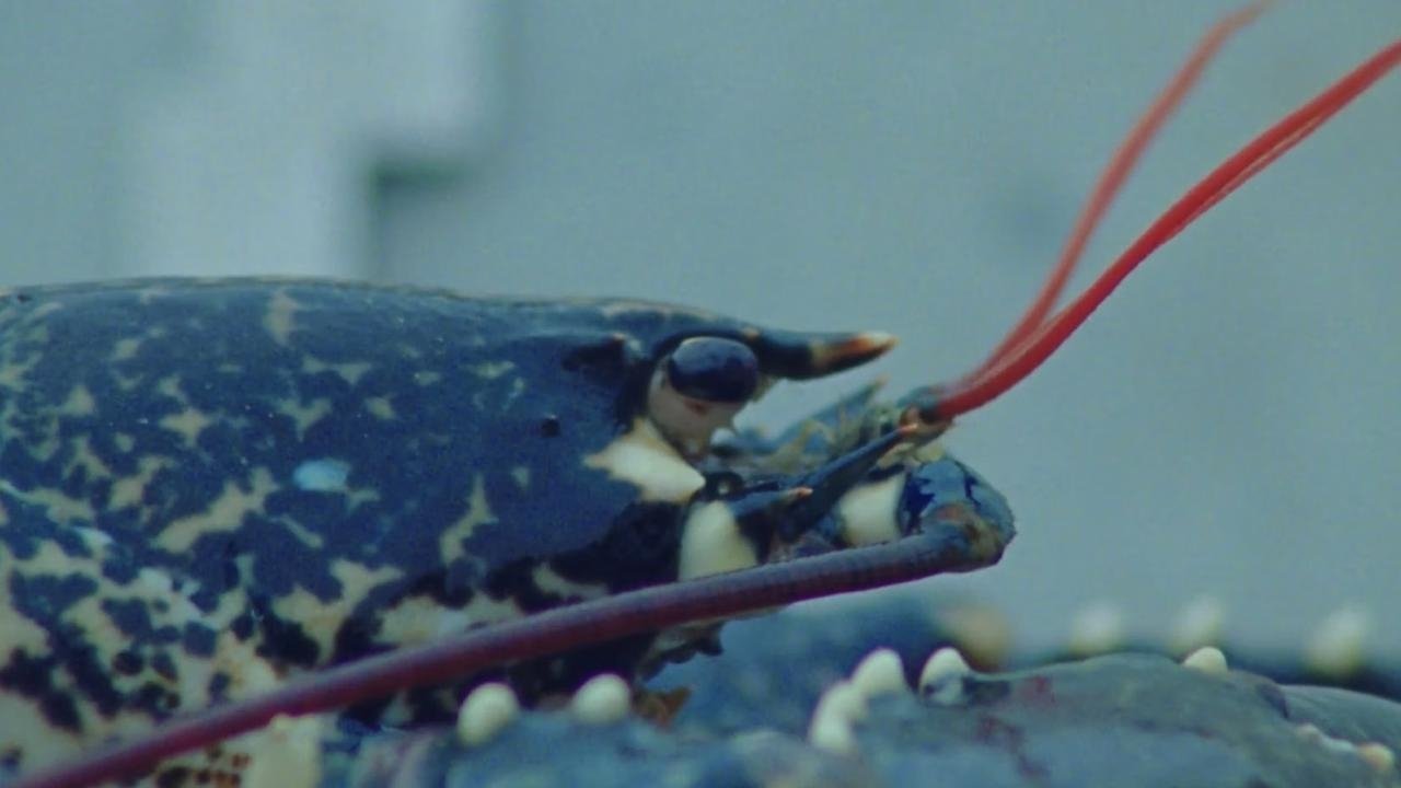 Godspeed Movie Screenshot 1