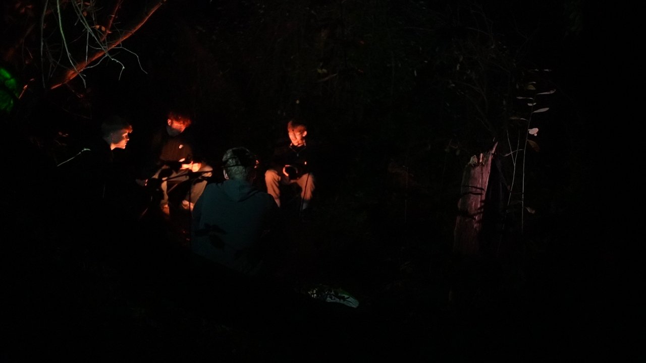 The Bugman Movie Screenshot 2