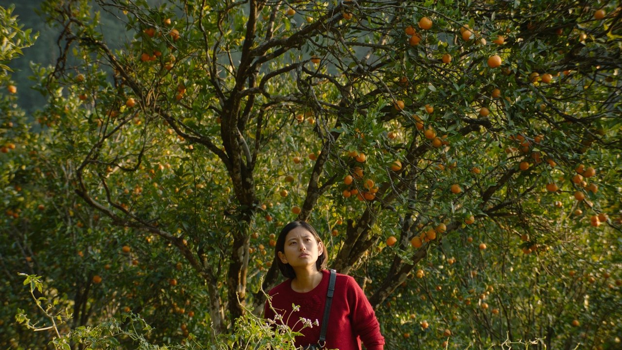 Shape of Momo Movie Screenshot 2