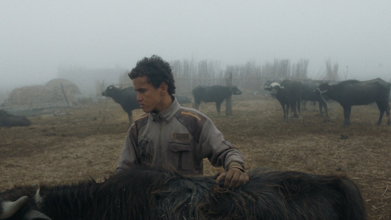Beneath Which Rivers Flow Movie Screenshot 3