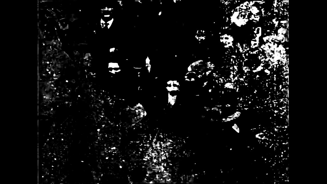 Congregation Movie Screenshot 1