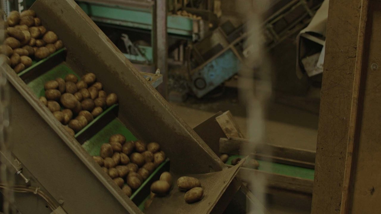 how long will you stay? Movie Screenshot 1