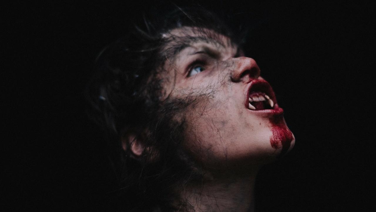 Wolfkin Movie Screenshot 1