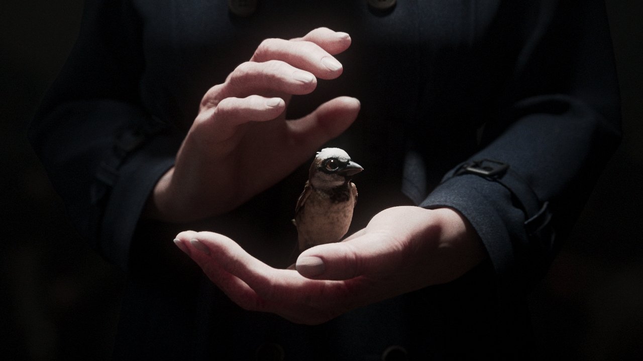 A Sparrow’s Song Movie Screenshot 1