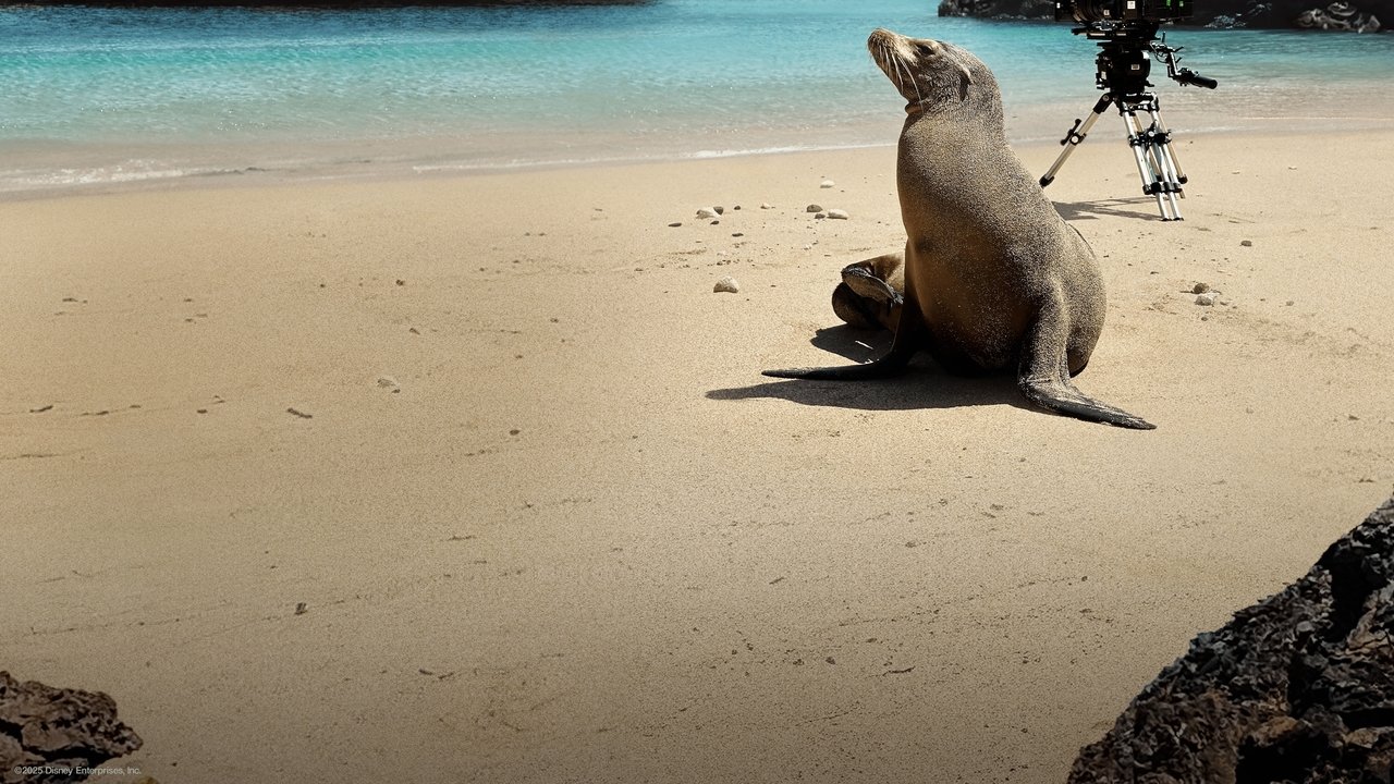 Guardians of the Galapagos Movie Screenshot 2