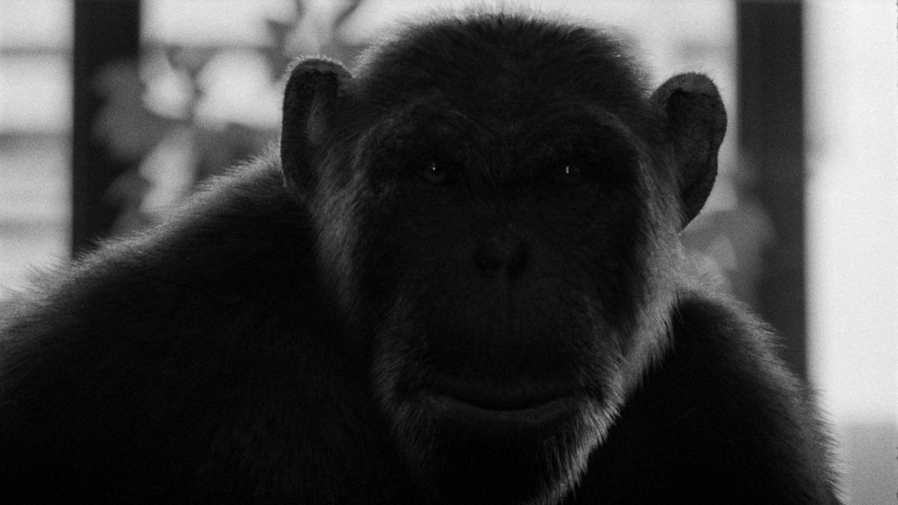 A Dying Tree Movie Screenshot 1