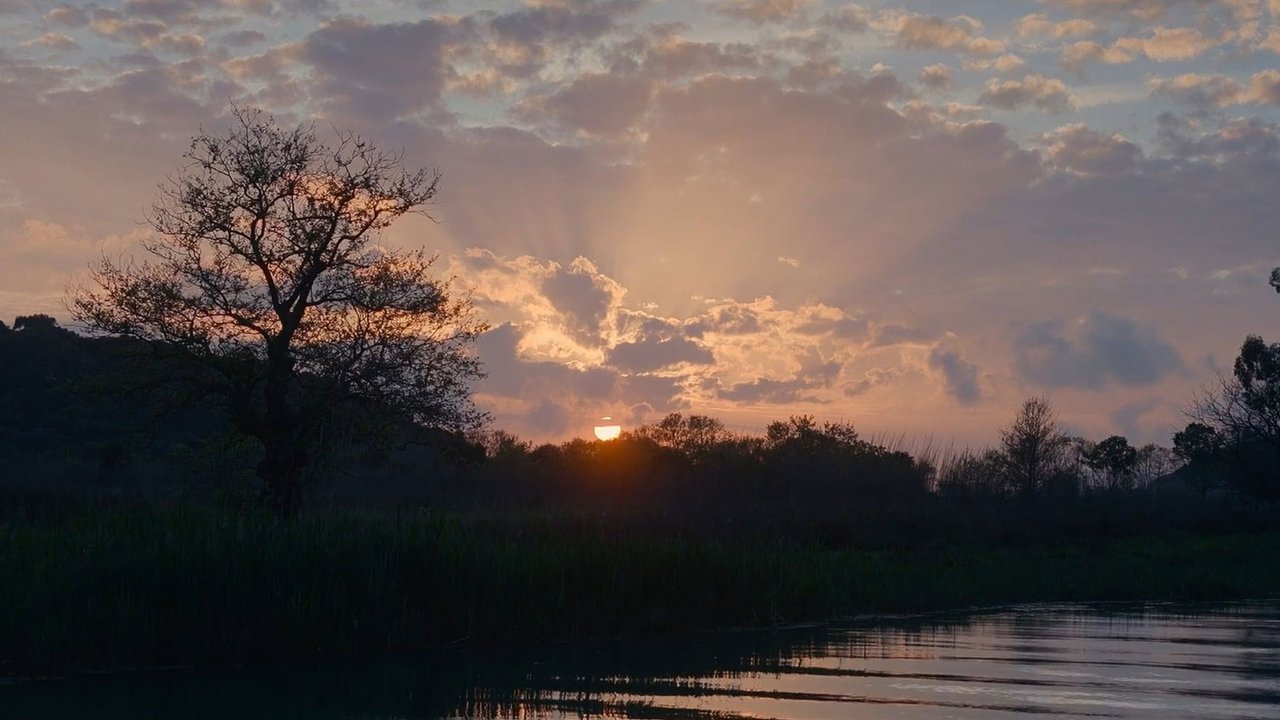 Acheron Movie Screenshot 3