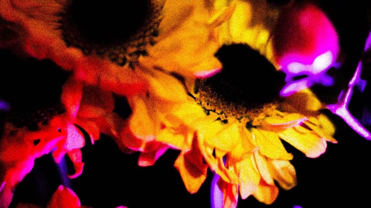 Flowers (II) Movie Screenshot 1