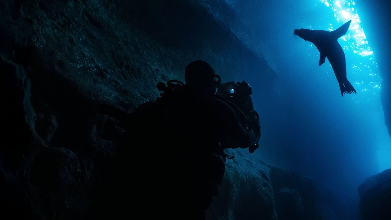 Guardians of the Galapagos Movie Screenshot 3