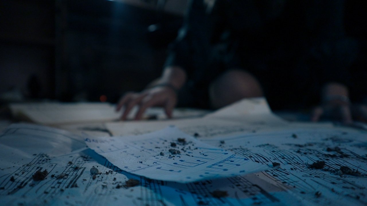 Anthurium sonata Movie Screenshot 4