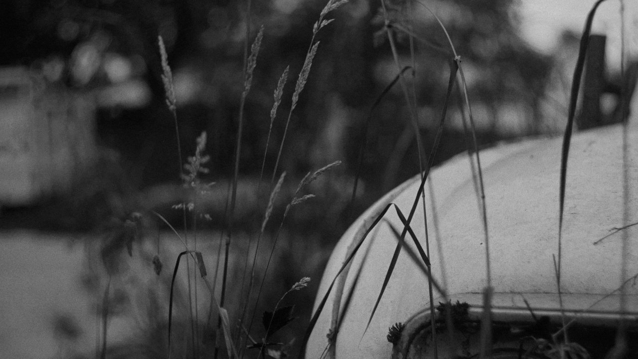 Five Paths Movie Screenshot 1