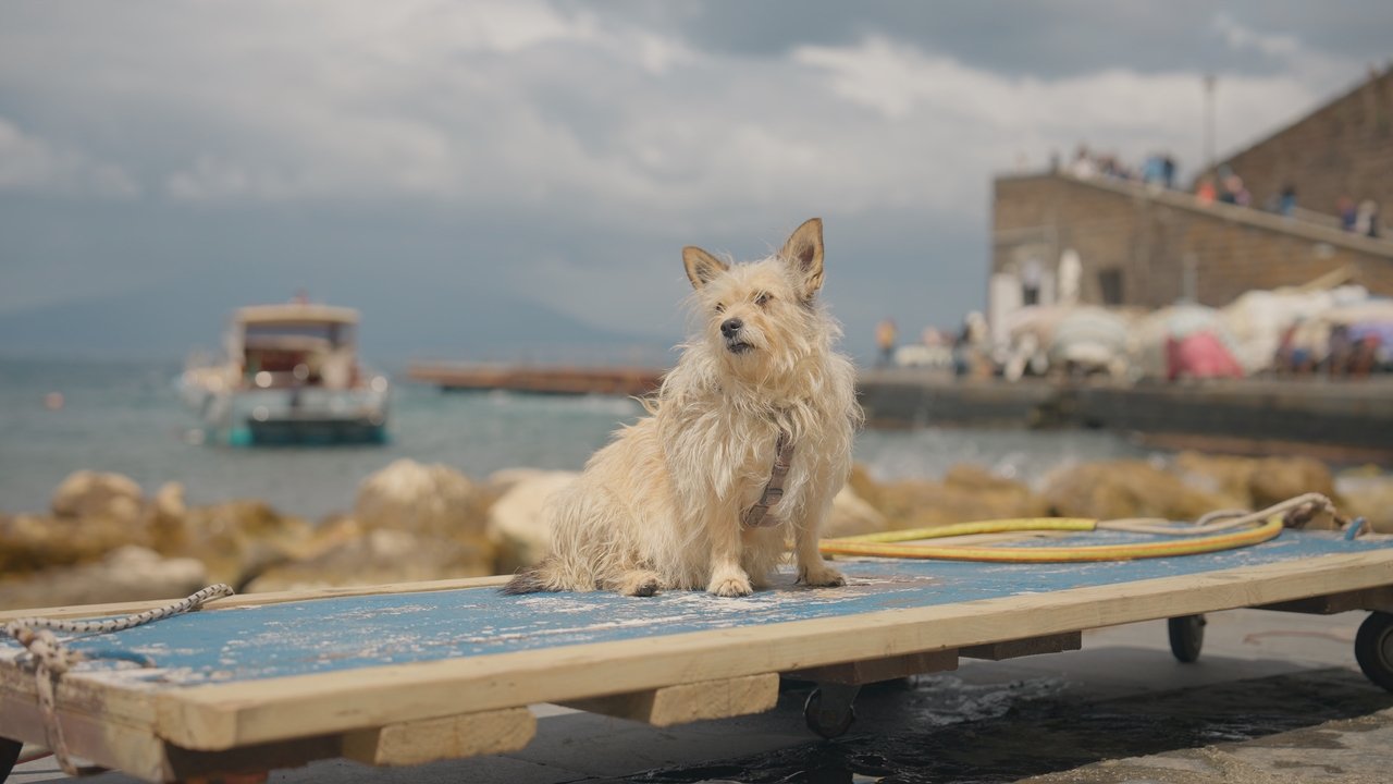 Here where the sea shines Movie Screenshot 1