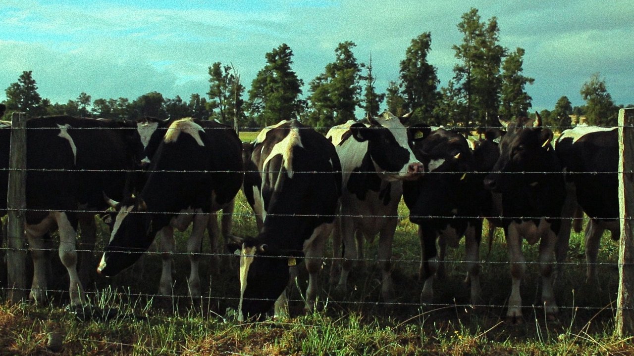 Looking South Movie Screenshot 3