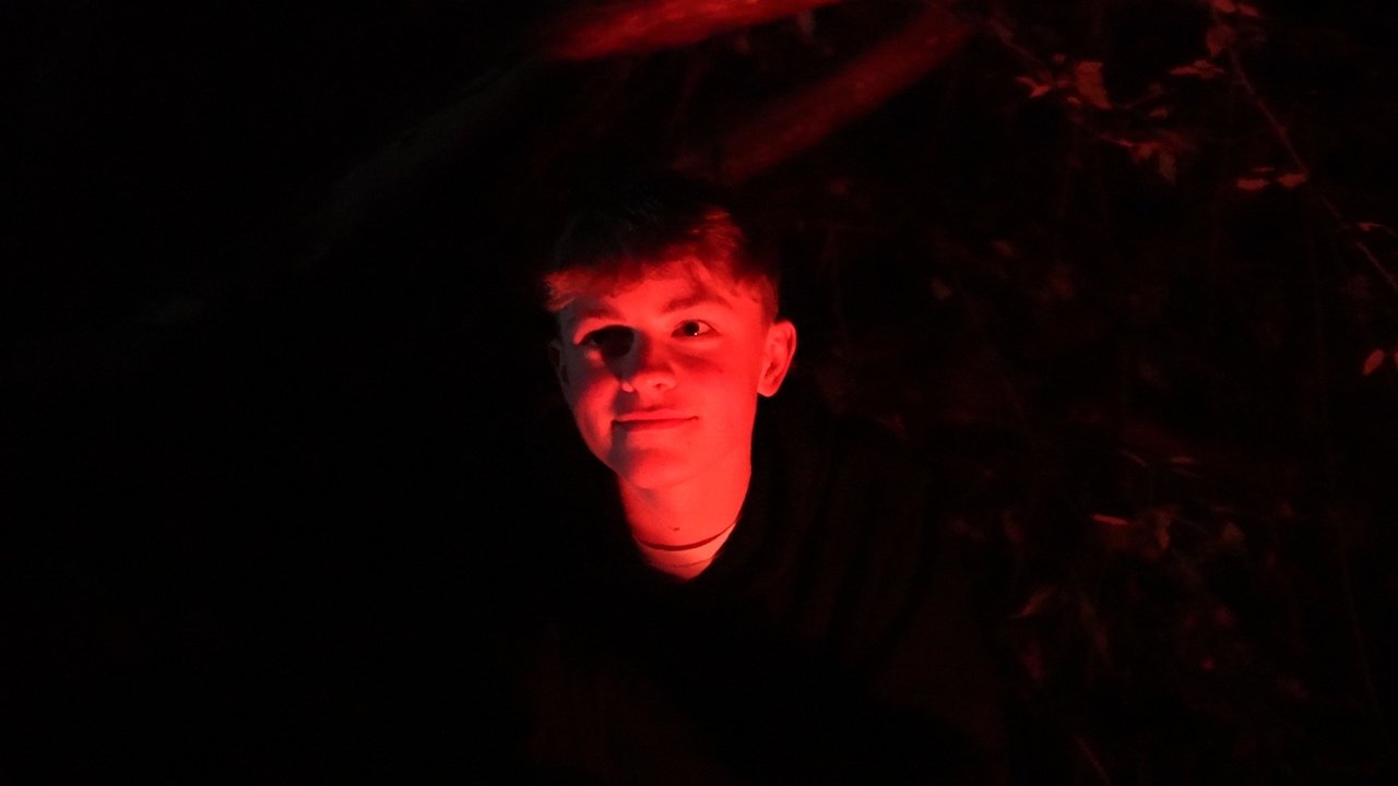 The Bugman Movie Screenshot 5