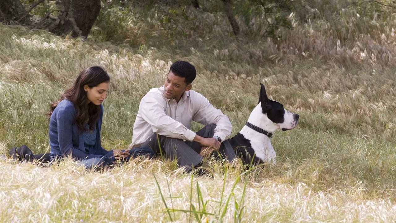 Seven Pounds Movie Screenshot 1