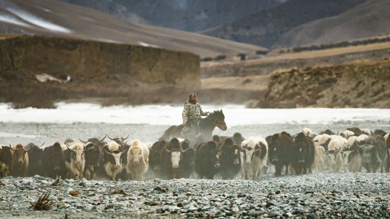 Territory Movie Screenshot 1