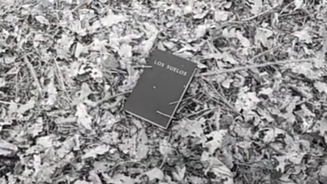 Soils Movie Screenshot 3