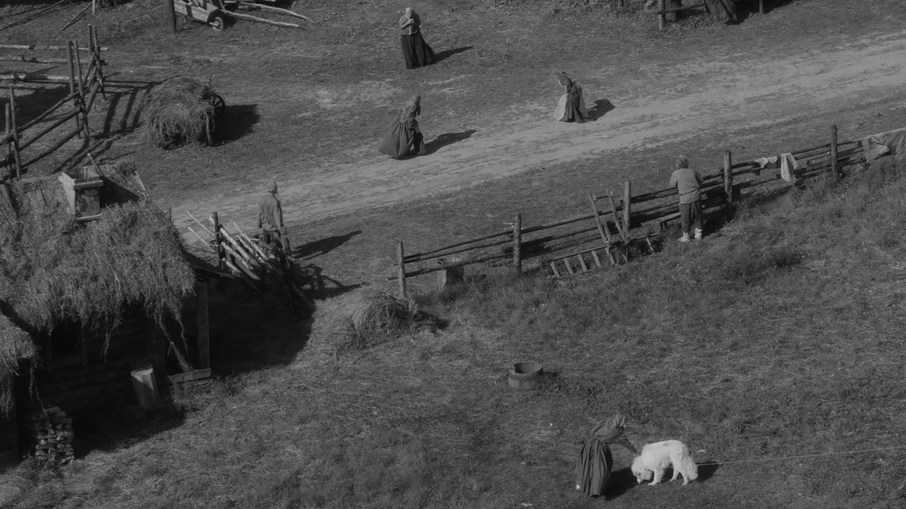 On This Land Movie Screenshot 5
