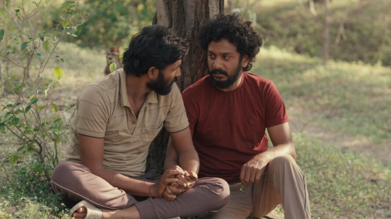 Cactus Pears Movie Screenshot 1