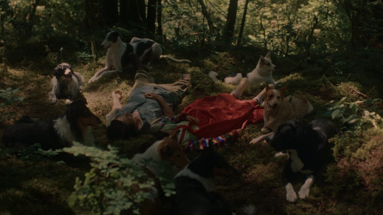 Mongrels Movie Screenshot 3