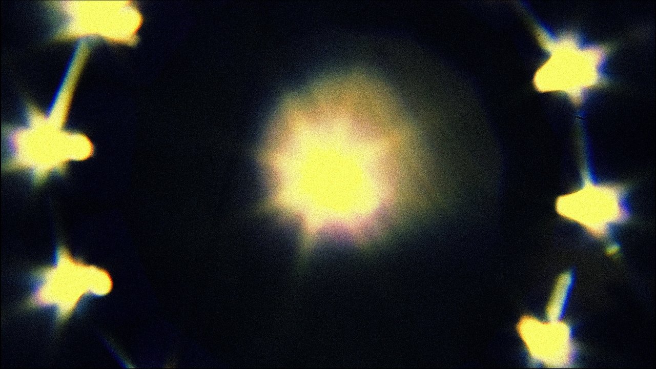 Sun King Movie Screenshot 1