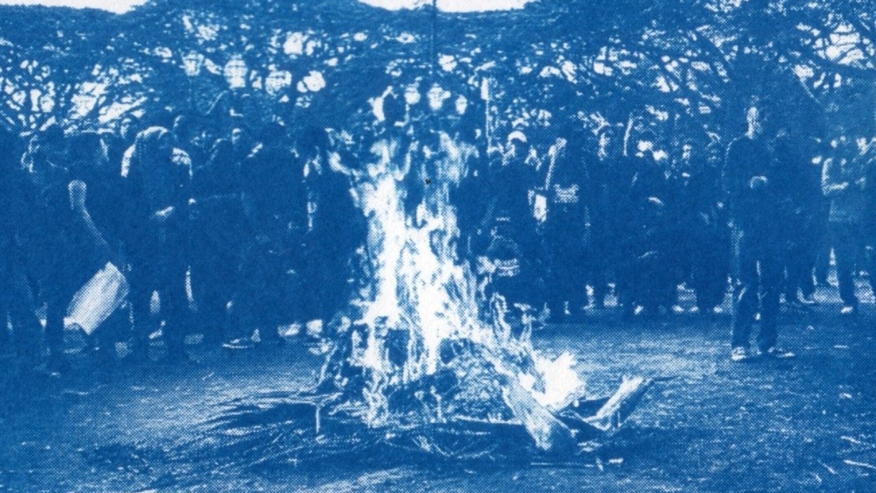 When The Blues Goes Marching In Movie Screenshot 2