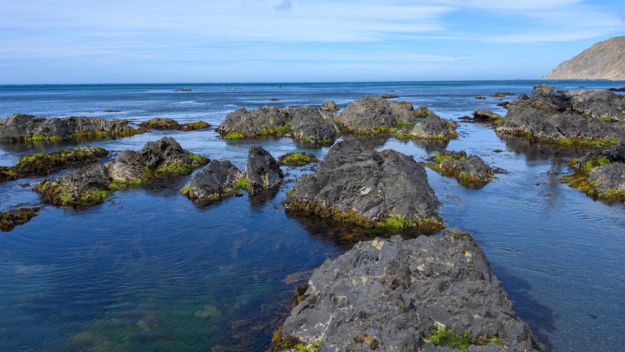 Aotearoa: A Mosaic of Moments Movie Screenshot 1