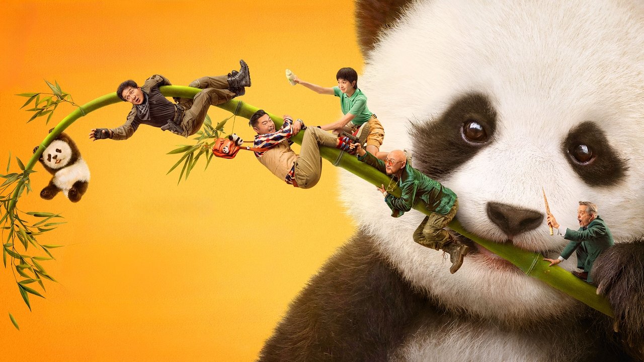 Panda Plan Movie Screenshot 1