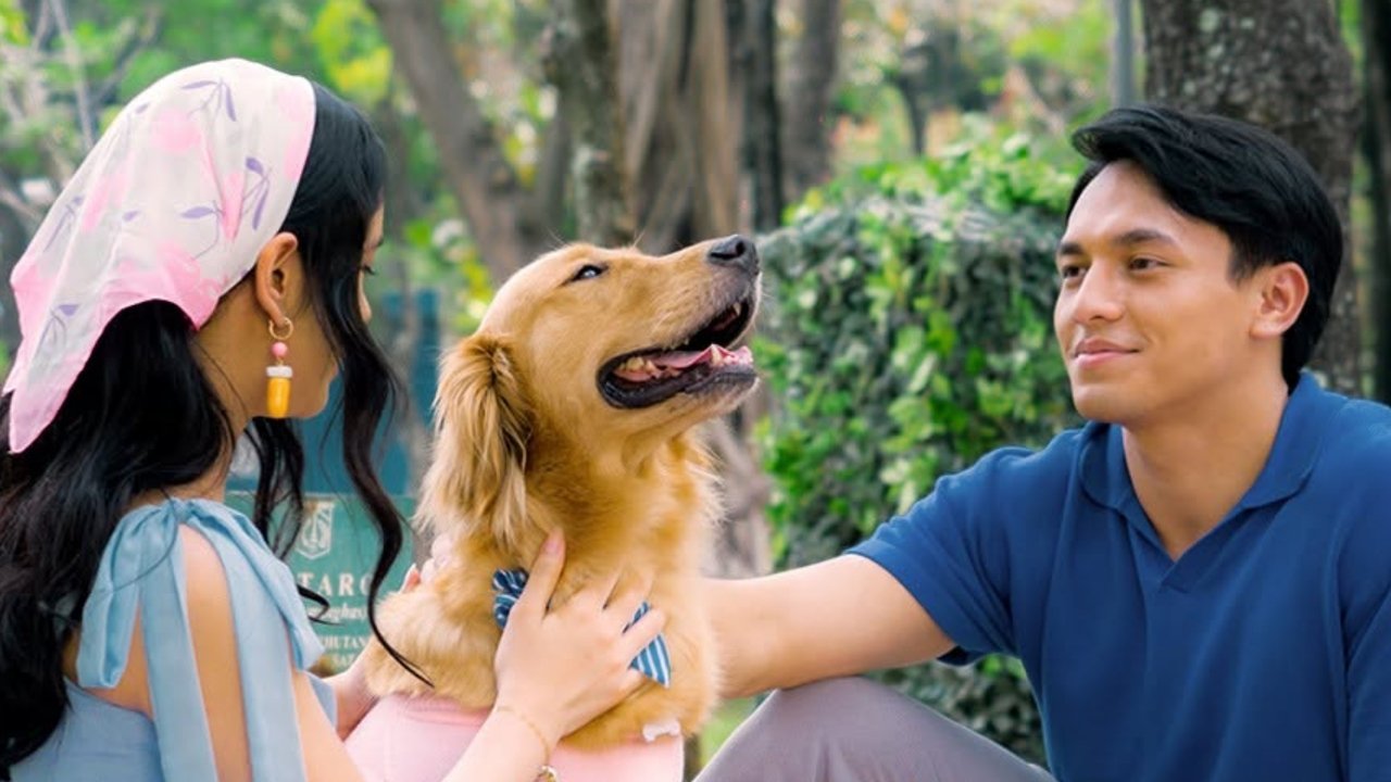 Alibii.com Movie Screenshot 1
