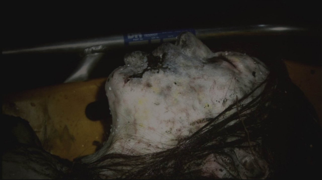 Lake Mungo Movie Screenshot 5