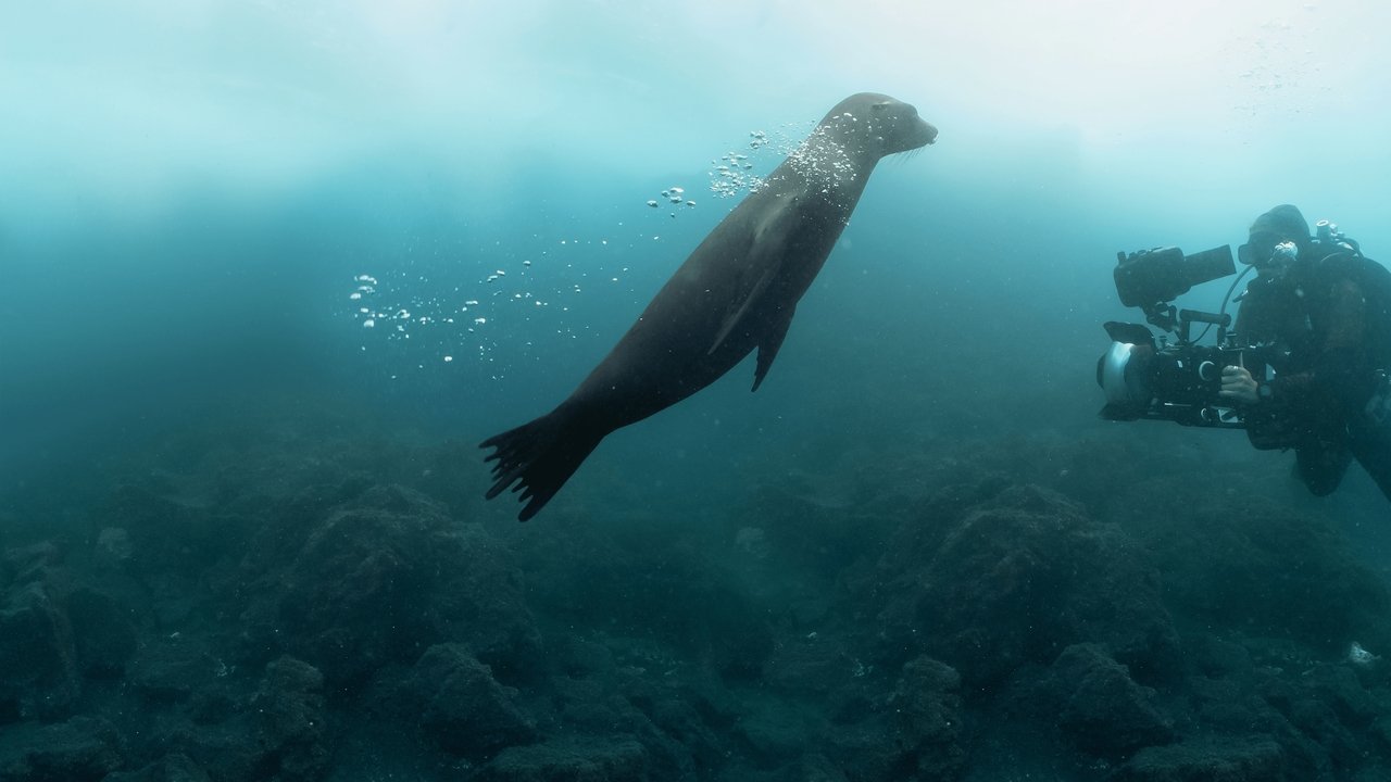 Guardians of the Galapagos Movie Screenshot 4