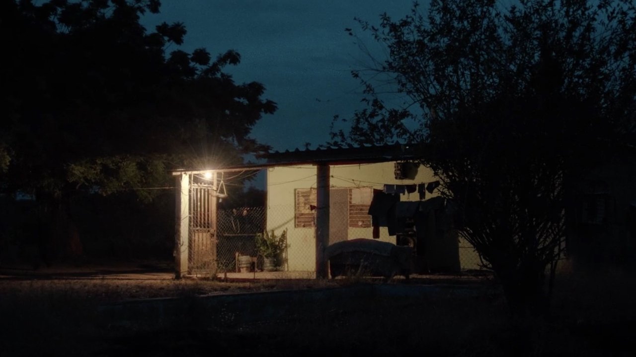 Audio and the Alligator Movie Screenshot 1