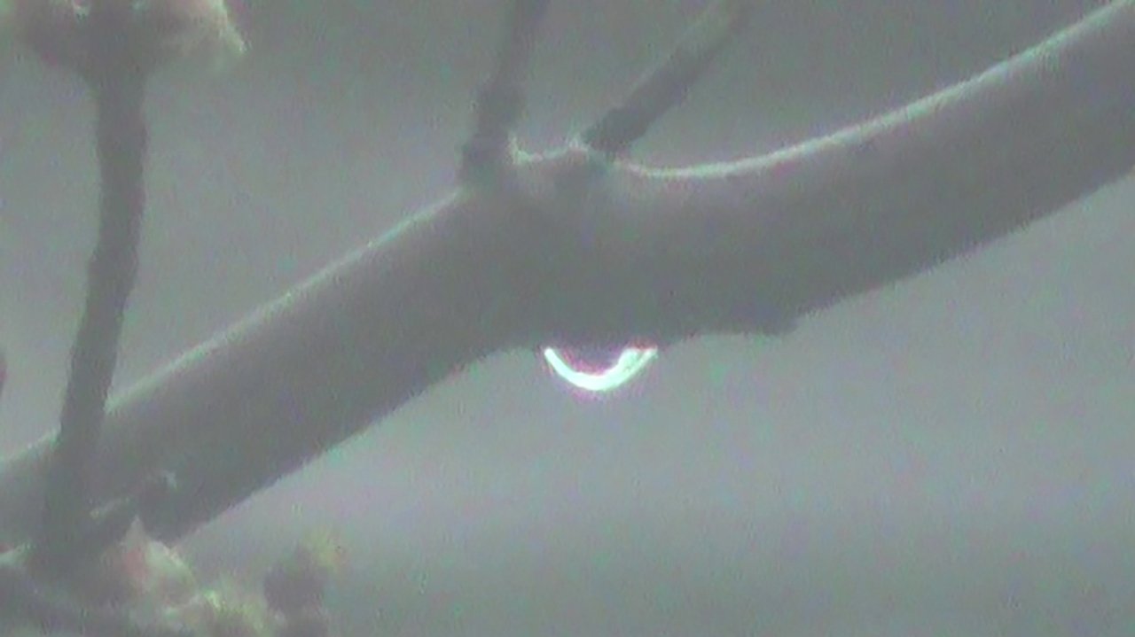 rainy streets Movie Screenshot 5