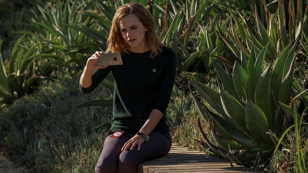 The Circle Movie Screenshot 4